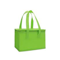Bolsa Térmica 6 Litros - T2399